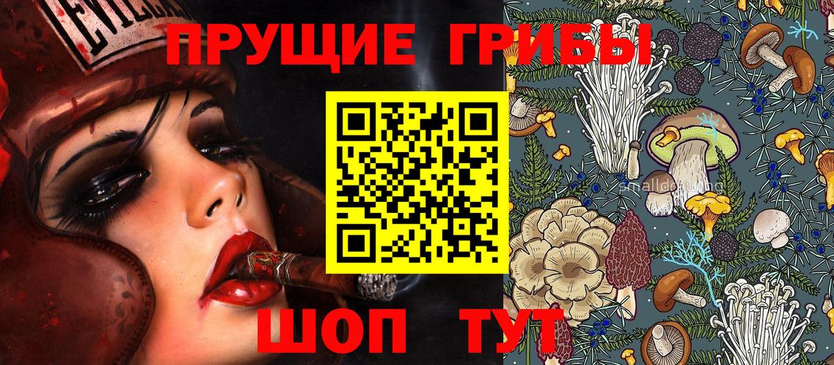 Псилоцибиновые грибы GOLDEN TEACHER  цена   Нефтеюганск  Псилоцибиновые грибы мицелий  Вход с VPN 